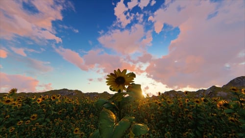 Animated Sunflower Field at Golden Hour Sunset