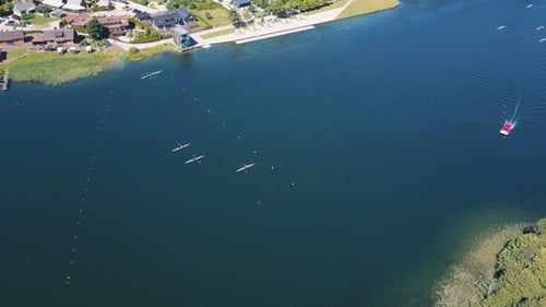 Rowers Training Aerial. People Paddle Among Islands on a Lake. Sparkling Blue Water on a Sunny Day