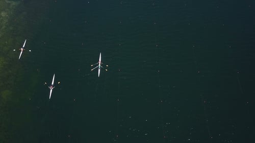 Rowers Training Aerial. People Paddle Among Islands on a Lake. Sparkling Blue Water on a Sunny Day