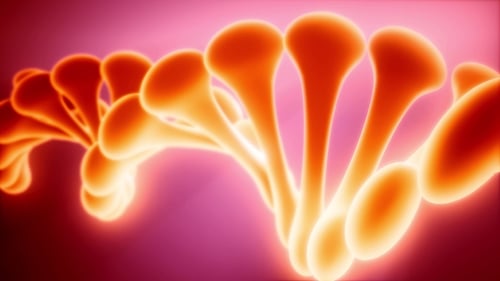 DNA Model Rotate