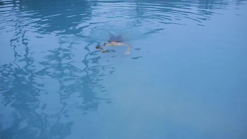 das Mädchen schwimmt im Pool