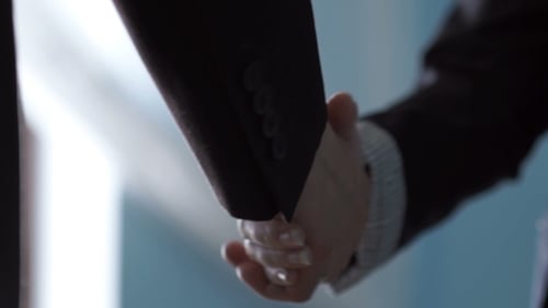 Business Handshake Agreement in Corporate Workplace