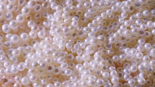 Lustrous Heap of White Pearls Close Up