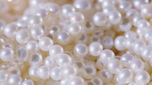 Close Up of Beautiful White Pearls