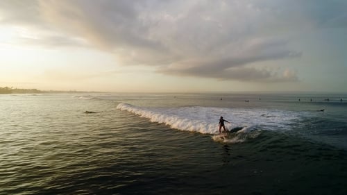 Surfing: Surfer Woman Riding on the Blue Waves