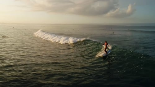 Surfing: Surfer Woman Riding on the Blue Waves
