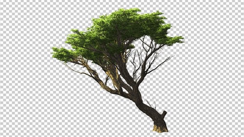 3D-Objektbaum