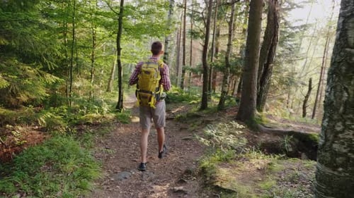 Ein junger Mann mit gelbem Rucksack geht auf einem malerischen Pfad im Wald
