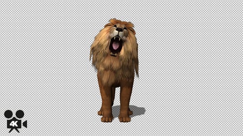 3D Animated Lion Roaring with Alpha Channel
