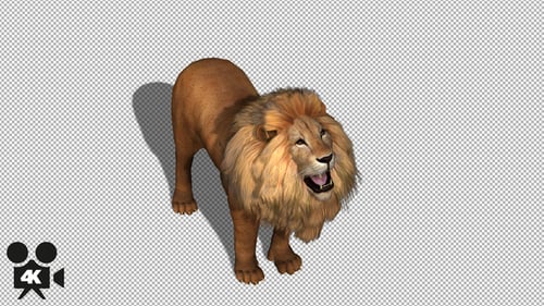 3D Animated Lion Roaring on Transparent Background