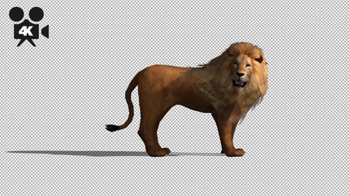 Animated 3D Lion Roaring Seamless Loop