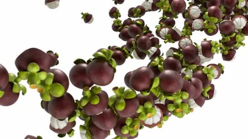 Mangosteens Filling the Screen on White Background