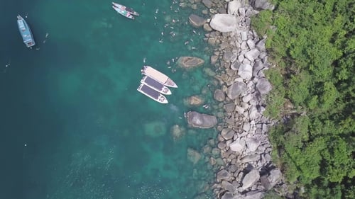 People Snorkeling