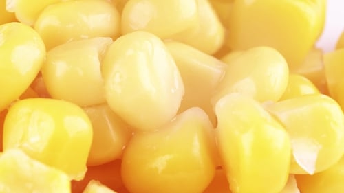 Close Up of Fresh Sweet Corn Kernels