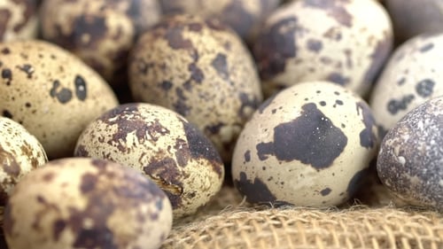 Uncooked Quail Eggs on Burlap Cloth
