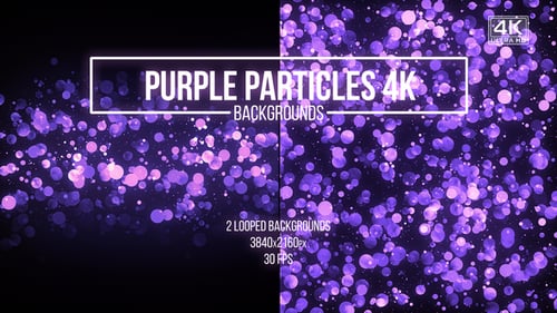 Abstract Purple Particle Bokeh Background Animation