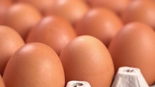 Uncooked Eggs Rotating