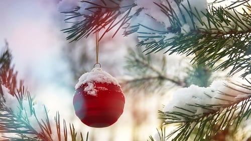 Red Christmas Ornament on Snow Covered Tree Branch