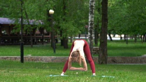 Young Beautiful Woman Doing Yoga Exercises in Park