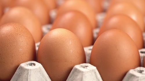 Oeufs non cuits en rotation