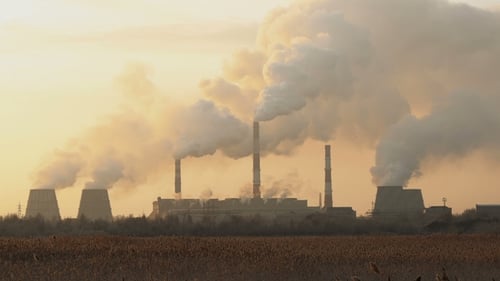 Plant Emits Harmful Smoke