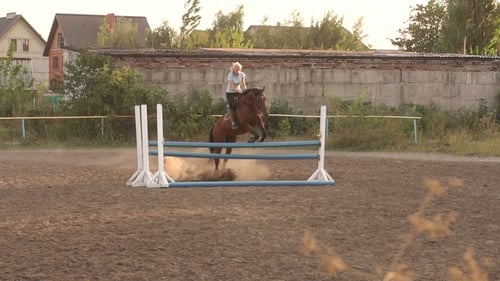 Girl Riding a Horse Jumps Over a Wooden Barrier