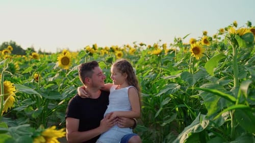 Father and daughter girl hugging in a sunflowers field. The persons look at each other