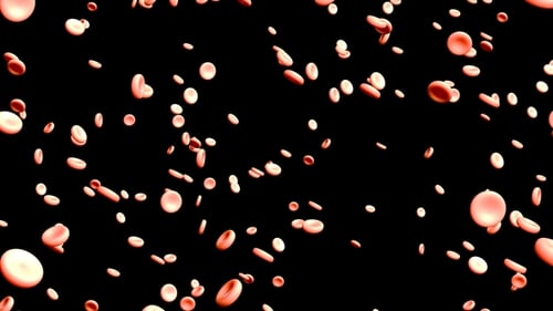 Erythrocytes of Blood