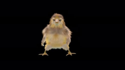 Cute Fluffy Chick Dancing on Transparent Background
