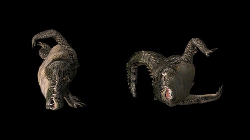 4K Crocodile - Alligator Rolling - Front View