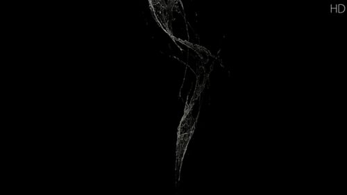 Dynamic Realistic Water Splash Element for Reveals and Transitions