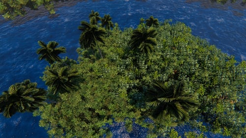 Aerial View of Lush Tropical Island and Blue Ocean