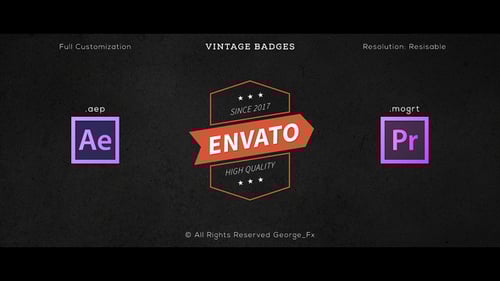 16 Vintage Badges