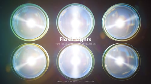 Blitzlichter 1