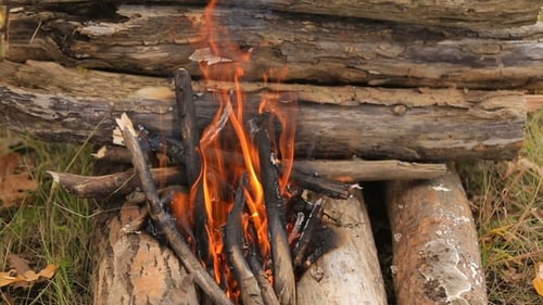 Bonfire Burns at the Campsite