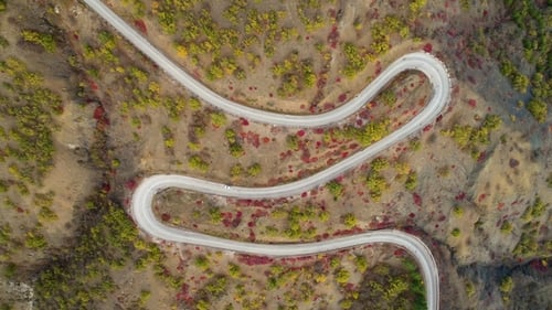 White Car Goes on Serpentine Mountain Road. Aerial Vertical Top View. Drone Is Flying Downward