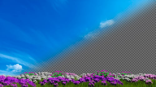 Swaying Grass and Flowers Animated Foreground Loop