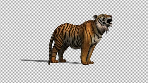 4K Tiger Howl Animation