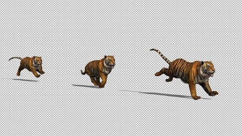 Realistic 3D Animated Tiger Running on Transparent Background