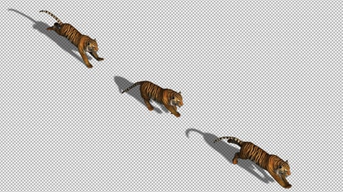 4K Tiger Running Back ViewTop