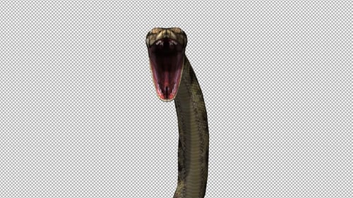 3D Animated Snake Rises and Strikes