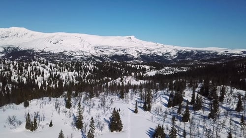 Slowly Flying Over Trees and Large Mountain Winter Landscape
