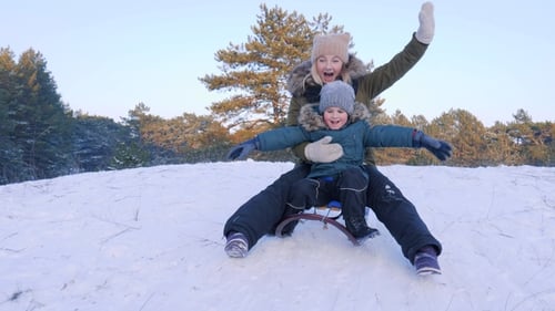 Happy Family on Sledge Rides from Snowy Hill in Forest