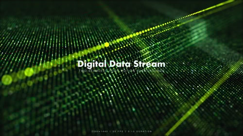 Digital Data Stream 3