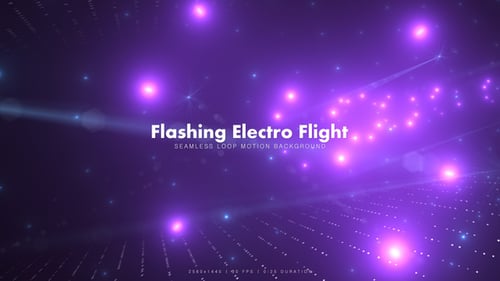 Blinkender Elektro- Flight 4
