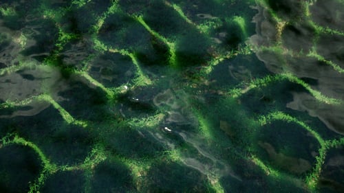 Natural Green Surface Under Rippling Water Motion Background