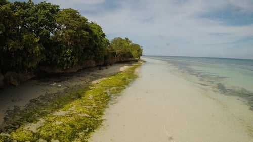 The Ocean Coast with Beautiful Coral Reefs and Views