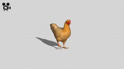 4K Hähnchen