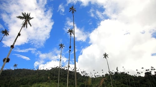 Cielos colombianos