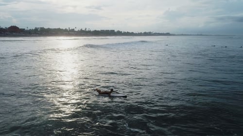 Young Woman Paddling at Surfboard in Ocean